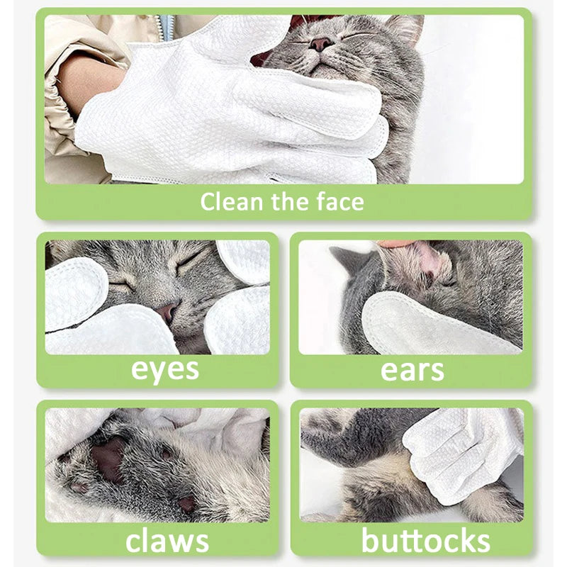 Gants de nettoyage sans rinçage pour chats