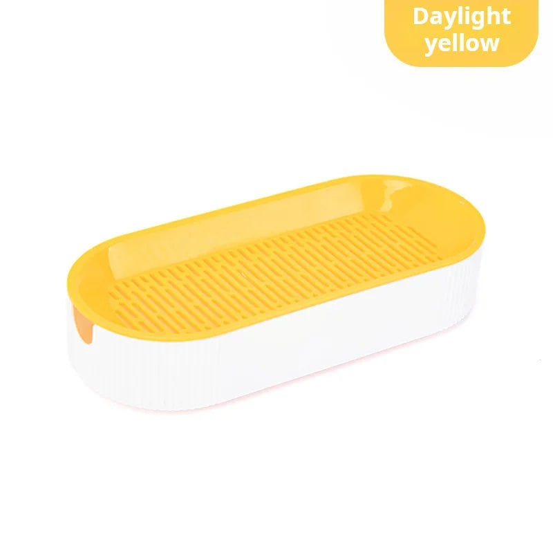 Boîte hydroponique d’herbe à chat