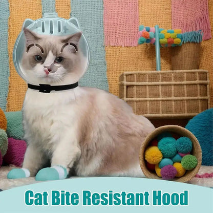 Kit de toilettage pour chat