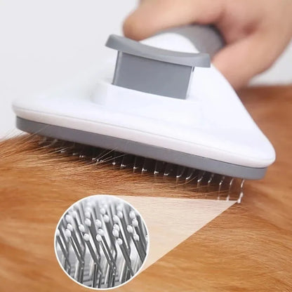 Brosse autonettoyante pour animaux