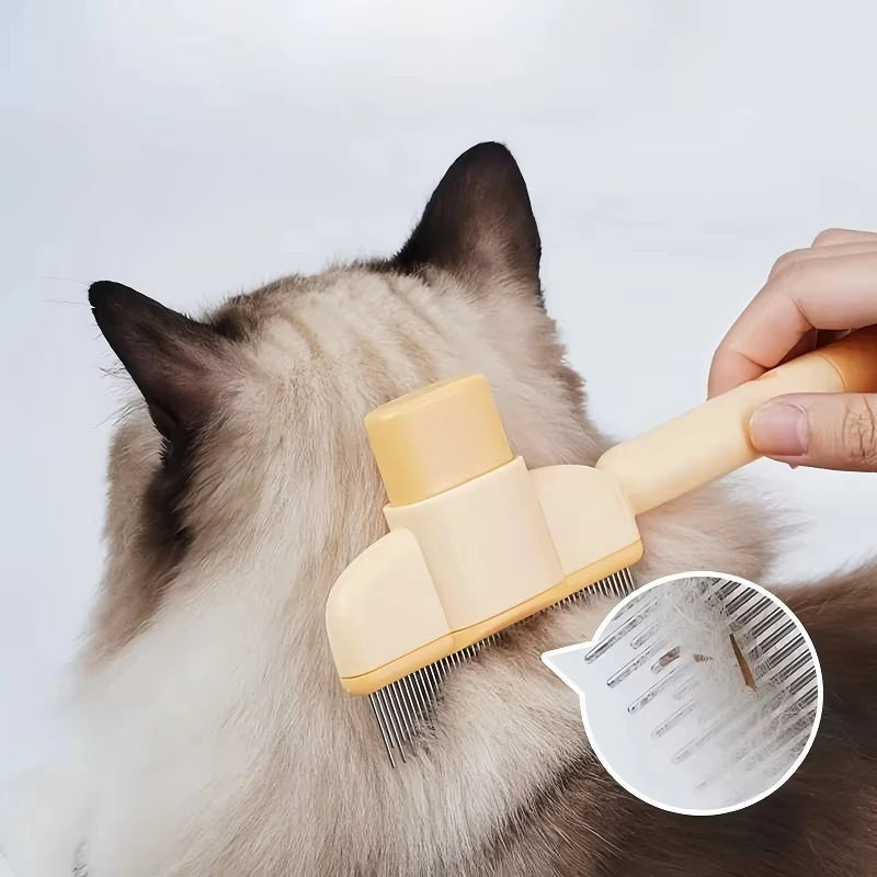 Brosse de Toilettage & Massage pour Chats
