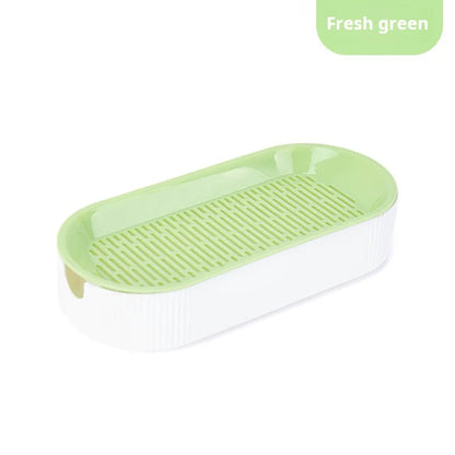 Boîte hydroponique d’herbe à chat