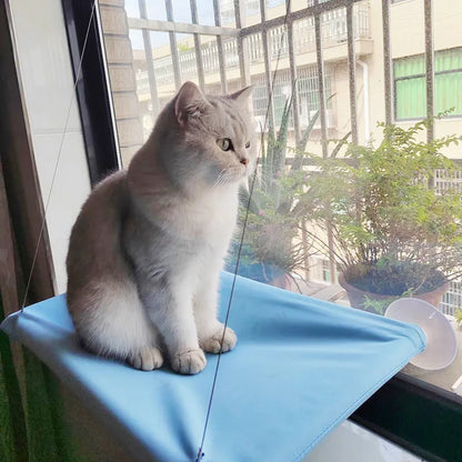 Hamac suspendu pour chat